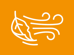 Highlighted image: Juist bij tegenwind (Blog Paul)